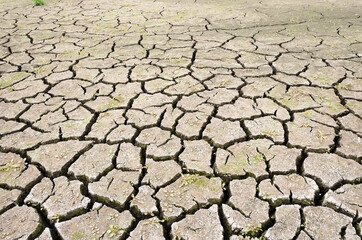 dry pond with cracked earth 9