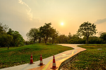 Beautiful evening light in public park with green grass field and green fresh tree plant