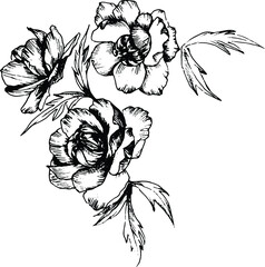 Black and white hand-drawn flower vector illustration.