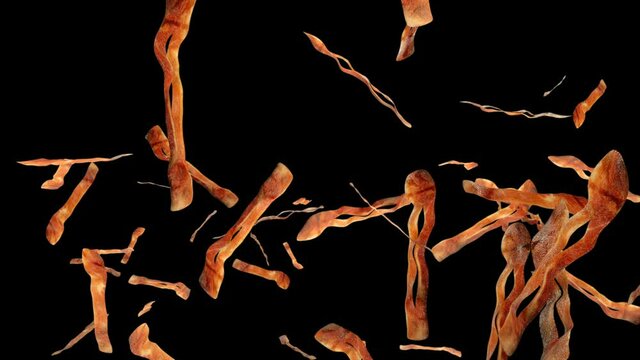 Fried bacon flying in slow motion, Luma Matte attached