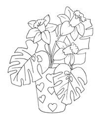 Joyful spring coloring. Daffodils and monstera leaves are in a vase with hearts.  Vector black and white sketch.Hand-drawn. Isolated on a white background. Coloring book for children and adults.