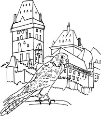 Falcon on the background of Castle. Medieval buildings for knights of the Czech Republic. Ancient castles of old Prague .Vector illustration in a linear fashion. Coloring page for children and adults.