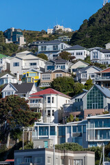 New Zealand city life