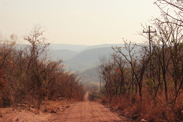 Track in Africa
