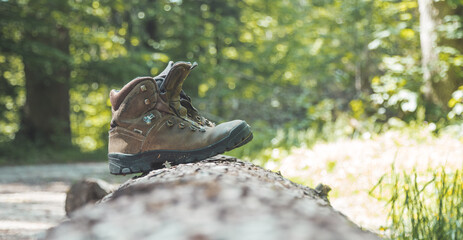 Hiking holiday concept: Worn out Alpine boots on a tree trunk