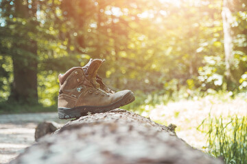 Hiking holiday concept: Worn out Alpine boots on a tree trunk