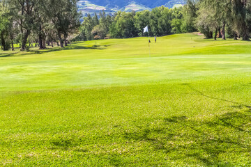 golf course in the morning