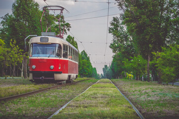Naklejka premium red tram travels through the forest