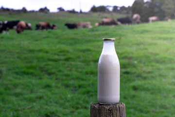 A bottle of milk with a green farm in the background. 