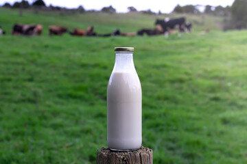 A bottle of milk with a green farm in the background. 