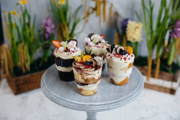 Set of beautiful delicious trifl close - up on the background. Dessert and sweets