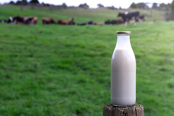 A bottle of milk with a green farm in the background. 