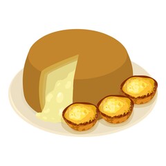 Belgian cheese icon. Isometric illustration of belgian cheese vector icon for web