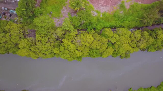 A drone shot flying over the field in Goa, India.