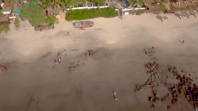Drone shot over the sea and boats heading towards the land, Goa, India