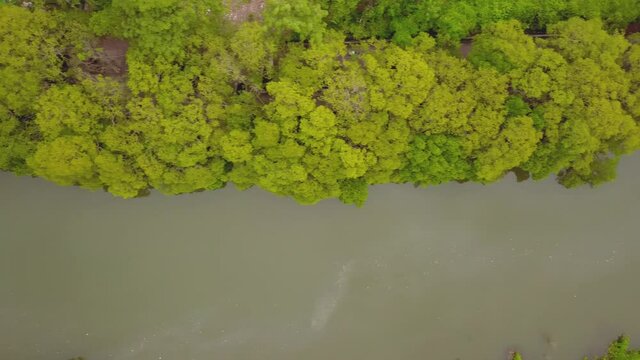 A drone shot flying over the field in Goa, India.