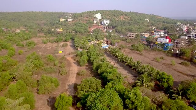 Drone shot flying over coconut trees heading towards the sun and landscape in Goa, India