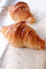 Fresh baked French croissants on a white  baker's couche.