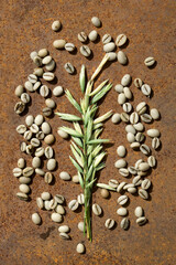  Flat lay  of  green  bean coffee with  oats as milk replacer on rustic iron