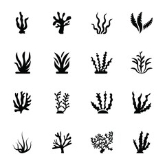 Corals Glyph Vector Icons