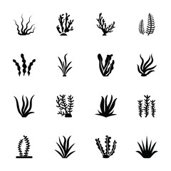 Coral Reef Glyph Vector Icons 