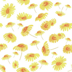 Seamless pattern with yellow flowers on white background. Watercolor hand drawn illustration for wallpaper, fabric, banner, card, textile. Summer floral design. Daisy or camomile.