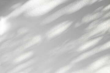 Abstract leaves shadow background with light bokeh