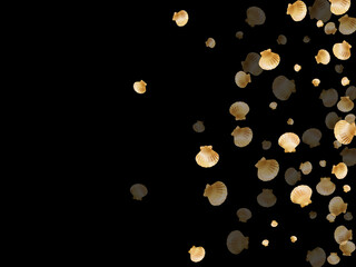 Gold seashells vector, golden pearl bivalved mollusks.