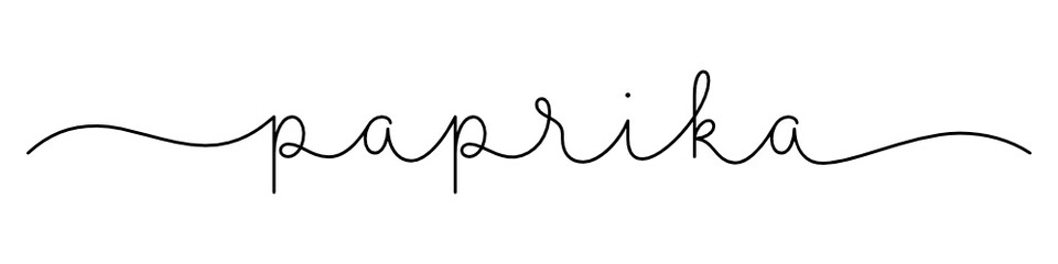 PAPRIKA black vector monoline calligraphy banner with swashes