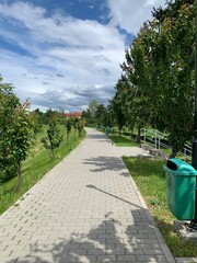 road in the park