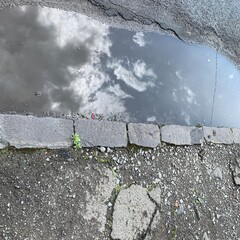 asphalt road with snow