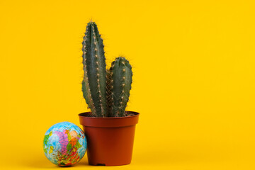 Cactus in pot with globe on yellow studio background. Minimalism