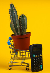 Shopping concept. Cactus in supermarket trolley with calculator on yellow studio background. Minimalism