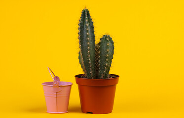 Cactus in pot and mini bucket on yellow studio background. Minimalism