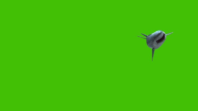Megalodon Green Screen 4K 3D Rendering Animation