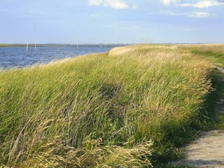 The beautiful coast of the North Sea in the east of Varel
