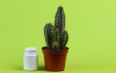 Pills bottle and cactus on green background. Medicine still life