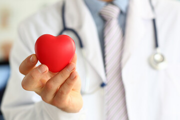 Competent cardiologist being ready for consulting patients