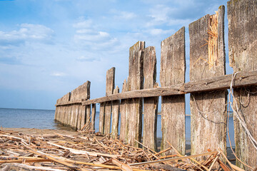 Naklejka premium Old fence near lake or river. Natural texture. Outdoor