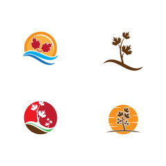 set Maple leaf vector illustration