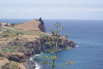 morski, wybrzeże, plaza, krajobraz, oceanu, woda, błękit, niebo, charakter, linia brzegowa, podróż, ile, lato, cypel,  © messy