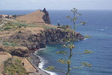 morski, wybrzeże, plaza, krajobraz, oceanu, woda, błękit, niebo, charakter, linia brzegowa, podróż, ile, lato, cypel,  © messy