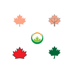 set Maple leaf vector illustration