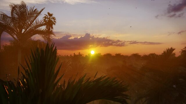 Beautiful sunset over tropical rain forest jungle, 4K