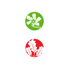 Maple leaf vector illustration