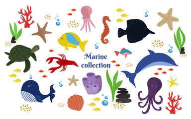 Obraz premium Collection of marine life. Dolphin, whale, octopus, turtle, jellyfish, crayfish, fish, algae, corals, shell. Vector illustration in the style of the drawing hand.