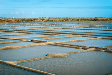 Landscape of salt marshes in Guerande peninsula, France
