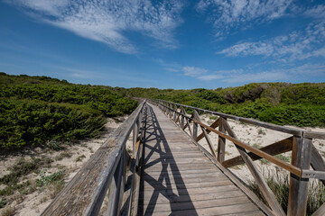 Fototapeta premium Es Comu wooden walkway, Àrea Natural d'Especial Interès, included within the Natural Park of s'Albufera, Mallorca, Balearic Islands, Spain
