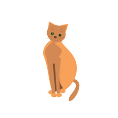 Red cat in flat style. Cartoon cute cat isolated on a white background. Pets. Vector illustration.