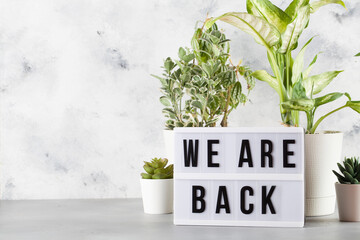 light box with text WE ARE BACK among the plants in pots